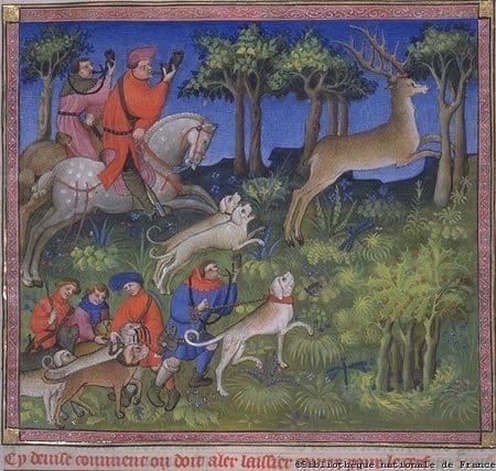 Stag hunt