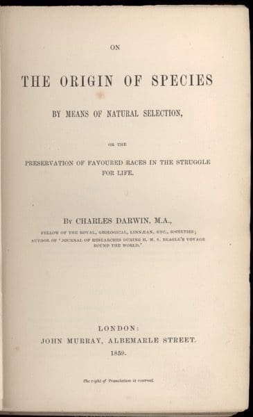 1859 Origin F373 008